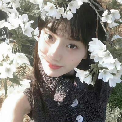 郊区的鸟